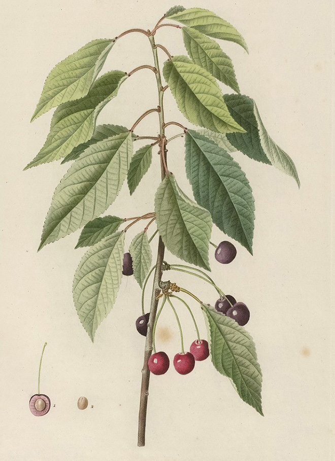 PJR_5_03b.jpg