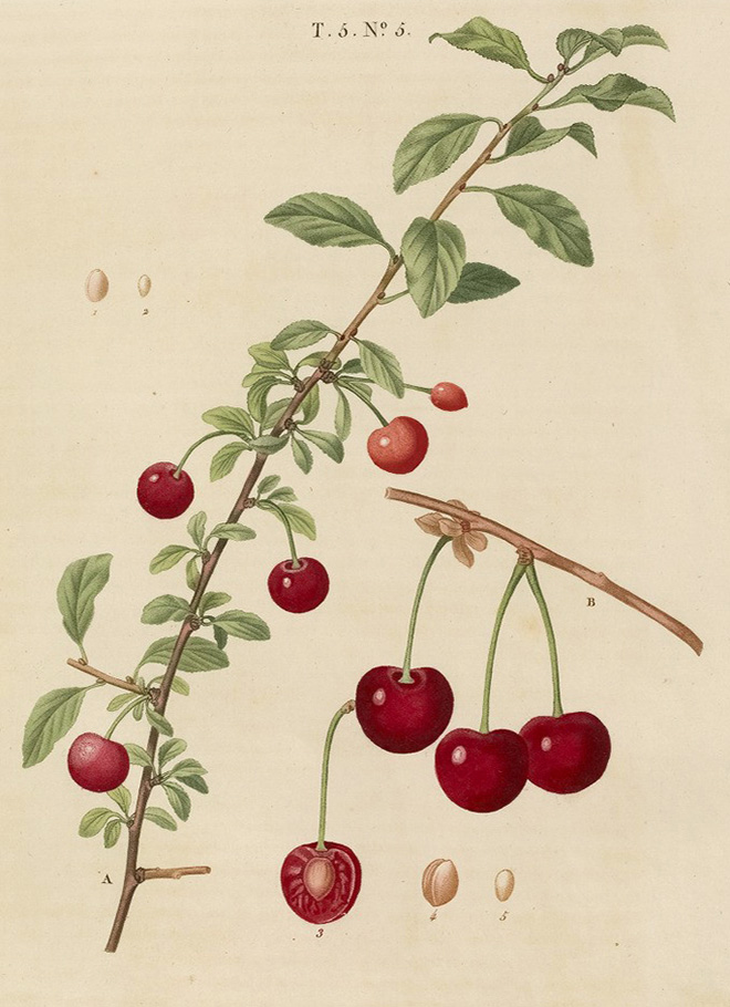 PJR_5_05b.jpg