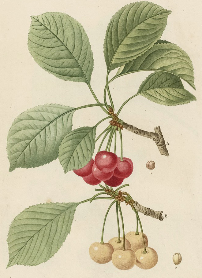 PJR_5_08b.jpg