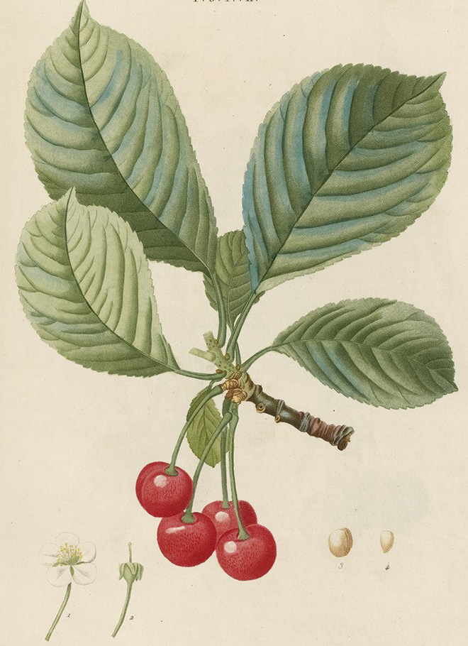 PJR_5_11b.jpg