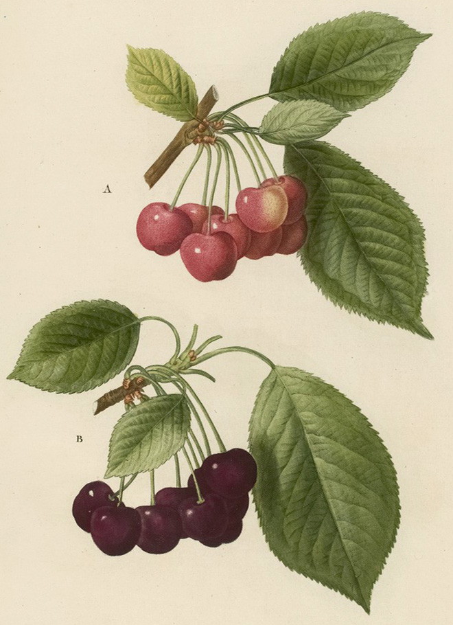 PJR_5_15b.jpg