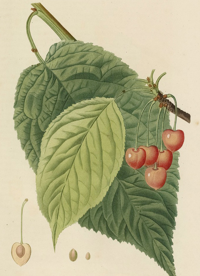 PJR_5_20b.jpg