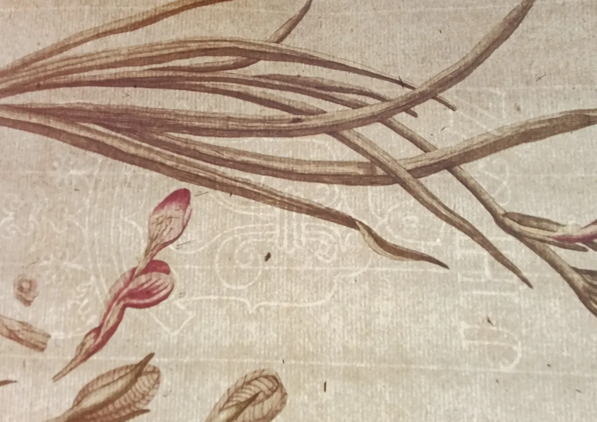 Paper in Antique Prints: Laid, Wove & Watermarks