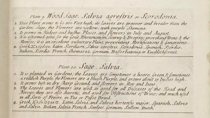 Elisabeth Blackwell: One Hand, One Vision, One Extraordinary Herbal