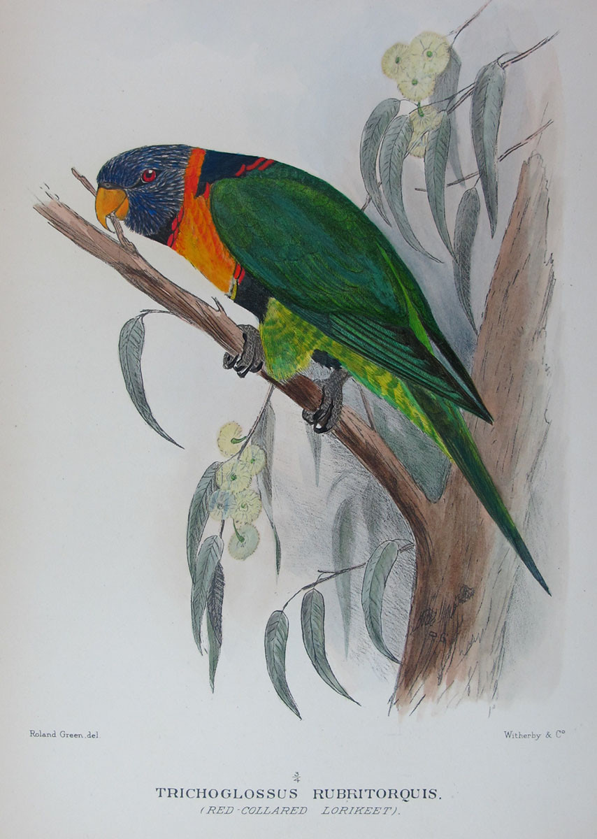 Gregory M. Mathews and The Birds of Australia: A Monument of Ornithological Ambition Gregory M. Mathews and The Birds of Australia: A Monument of Ornithological Ambition