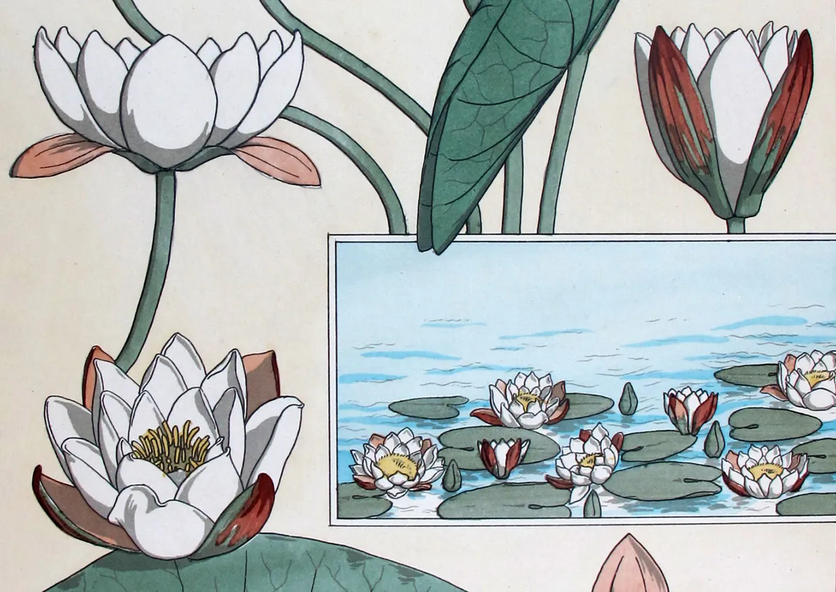 Pochoir or Lithograph? Understanding the True Technique Behind Grasset’s La Plante